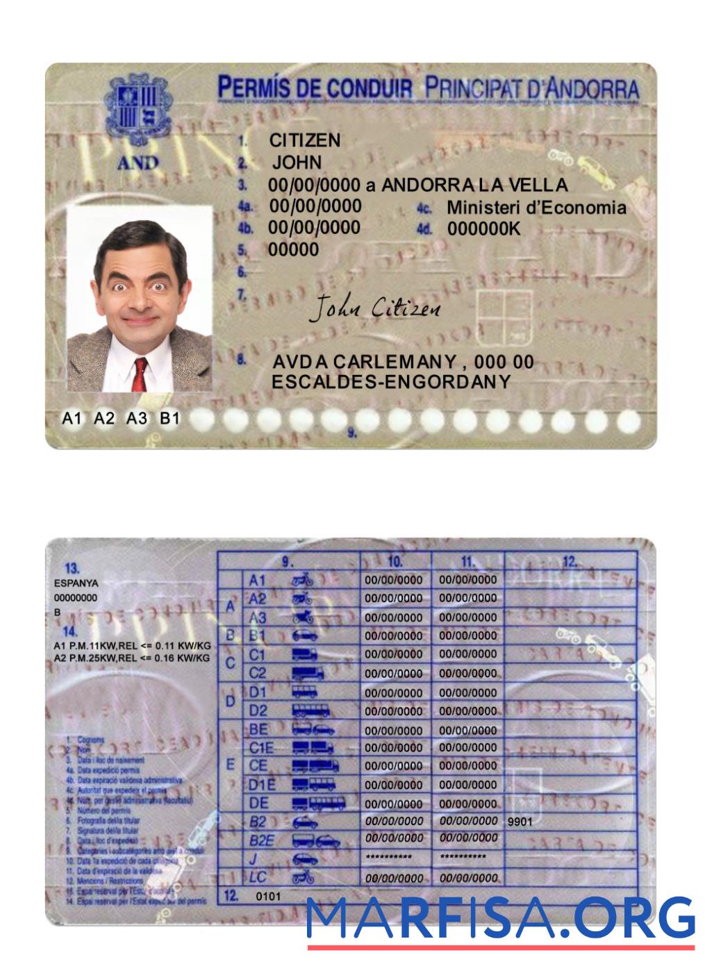 Blank Andorra driving license real example